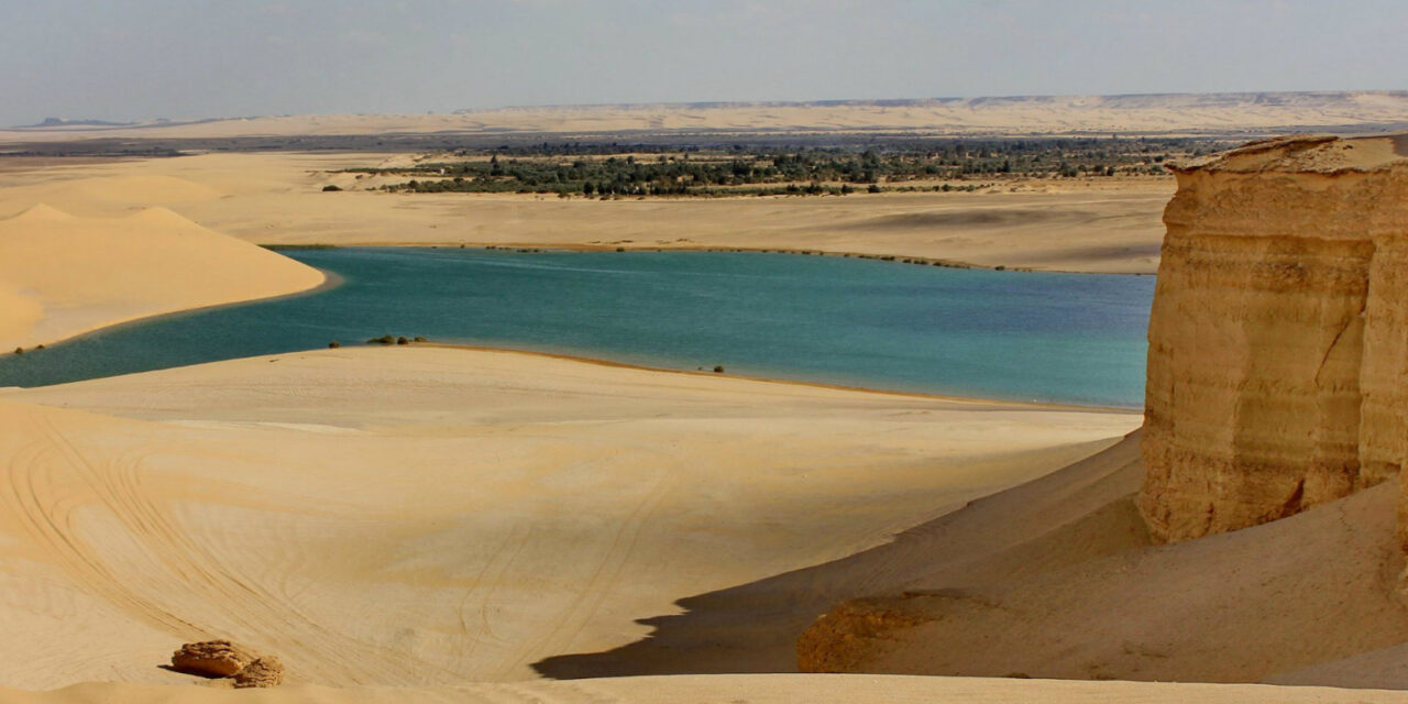 Fayoum Oasis Full-Day Private Tour – Nature & Heritage Experience